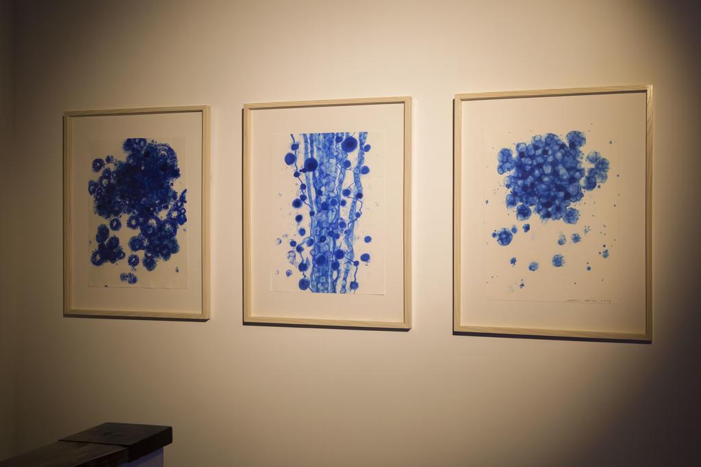 ホテル Art House Project The Row House Of Hamawaki 別府市 エクステリア 写真